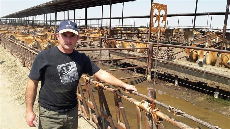 Trabajo a campo con el rodeo